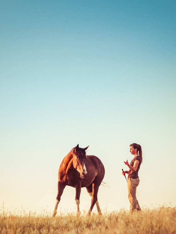 a girl pointing to to tell a horse to turn against a beautiful background.  horse training. 