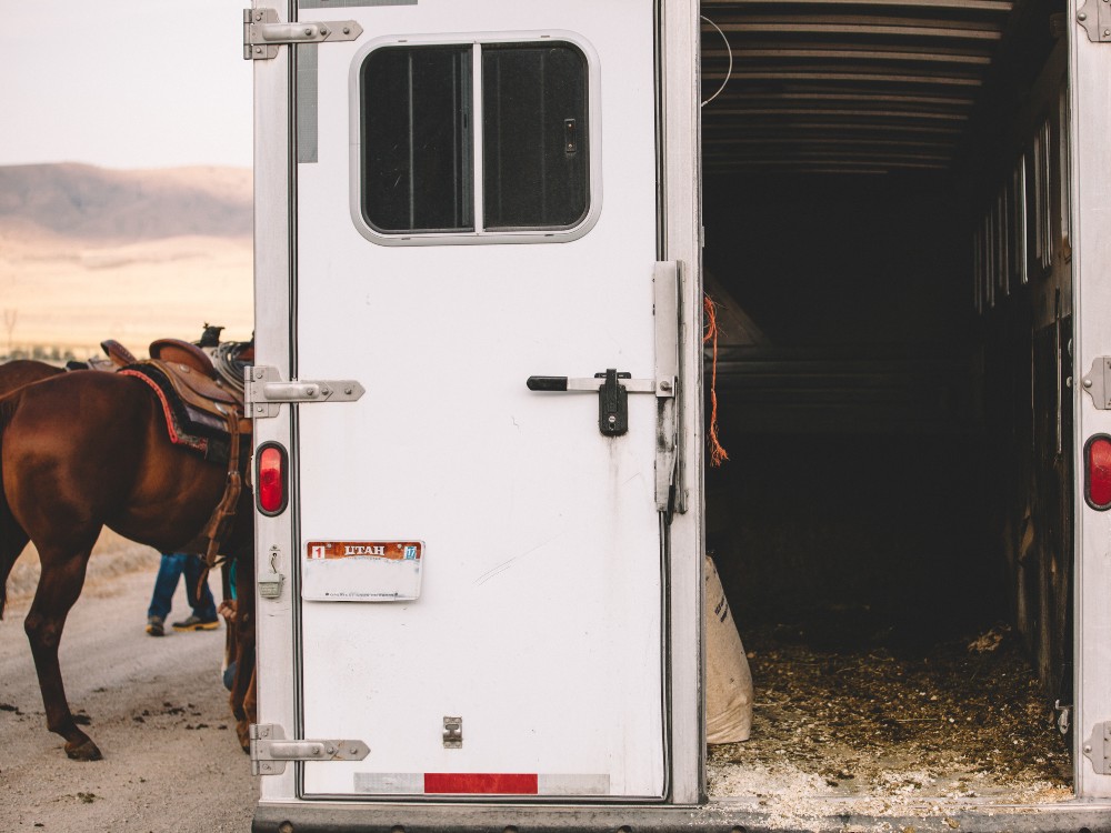 an open back of a horse trailer with a horse attached to one side