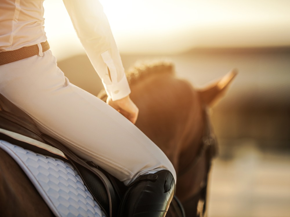 a woman or girl sitting in an english saddle on a horse looking into the sunset