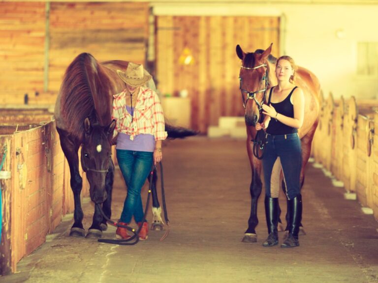 two women in different horse riding pants one jeans one breeches both holding horses